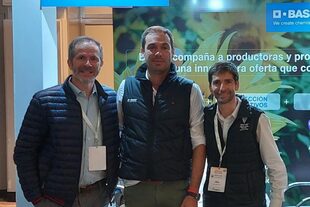 Ricardo Ortega, gerente de cultivos de Girasol de BASF; Pablo Provera, gerente de Excelencia Digital; Aimar Pena, gerente de Semillas y Traits Biotecnológicos de la empresa