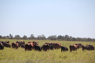 ¿Estamos preparados para los cambios que vienen?