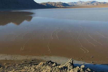 RIchard Norris y el equipo de investigación pudieron constatar el movimiento de cientos de rocas, todas impulsadas por las delgadas capas de hielo que empujaba el viento en la superficie de las aguas