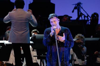 Ricky vuelve a la Argentina (Foto Instagram @ricky_martin)