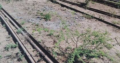 Rieles robados en Salta.