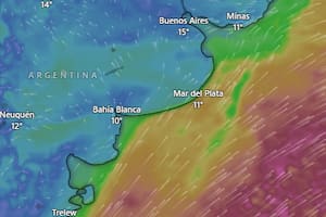 Rige una alerta amarilla por frío extremo y nevadas para este lunes