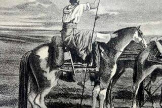 La cola del caballo debe ser un orgullo, no un problema