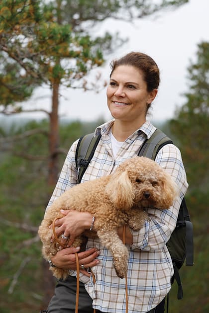 RÍO. Fue en mayo de 2020 que la Casa Real sueca presentó oficialmente a Río, el Cavapoo de Victoria de Suecia. Se trata de una mezcla de los caniches en miniatura y los Valier King Charoles Spaniels, que, por su carácter tranquilo, enseguida se convirtió en el amigo perfecto de los hijos de la heredera del trono, los príncipes Estelle y Oscar.