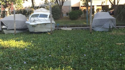 Río Lujan, a a pocos metros del Puerto de frutos