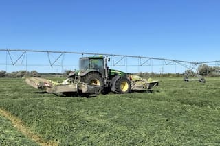 Un cultivo transformó a una provincia en una meca exportadora