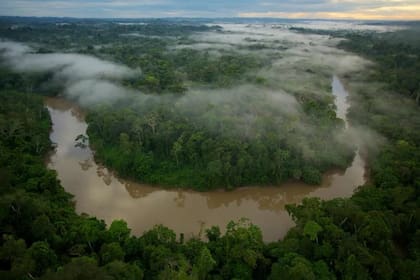 Río Tiputini, en el Parque Nacional Yasuní de Ecuador, uno de los lugares donde se halla la anaconda verde del norte