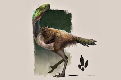 Rionegrina pozosaladensis