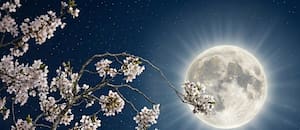 Rituales para aprovechar la energía de la Luna llena de mayo