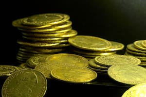 Robaron monedas de oro de un museo y otra vez la seguridad quedó en jaque