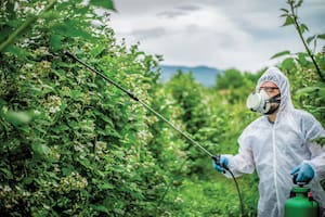 Los golpearon, los metieron en una cámara de frío y les robaron agroquímicos importados