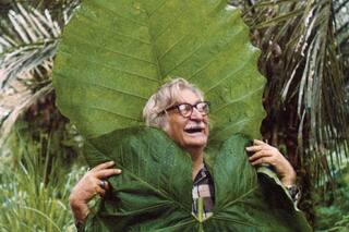 Cómo es la casa de Burle Marx, el gran paisajista que siempre quiso ser llamado jardinero