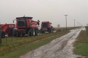 La lluvia frenó la cosecha y hay incertidumbre sobre cuándo se podrá retomar