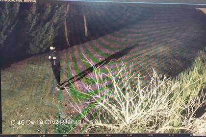 Robo millonario en Nordelta