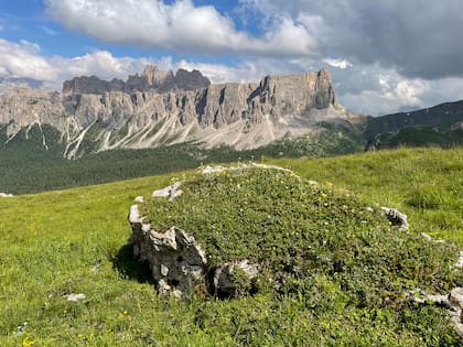Rocas vestidas de flores en Passo Giau.