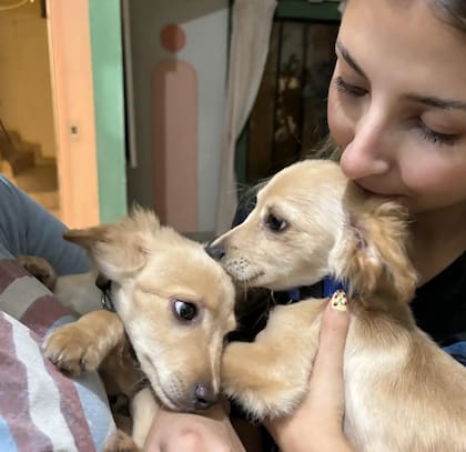 Rocía esta muy agradecida que los perros llegaron a su vida (Foto: The Dodo)
