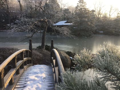 Rockford cuenta con un parque japonés para disfrutar de la nieve durante el invierno en Illinois (andersongardens)