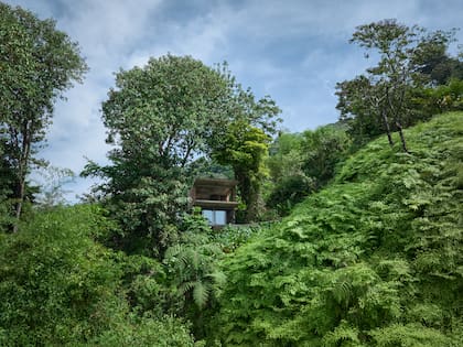 Rodeada de selva y ubicada en Bahía Ballena, Puntarenas, la vivienda se asienta sobre una ladera cercana a Playa Hermosa, en la costa pacífica de Costa Rica.