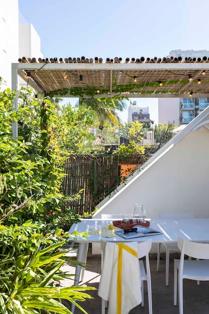 Rodeada de verde, mesa (Prestigio) con sillas ‘Río’ (Rossi Equipamientos). Pérgola de hierro con techo de cañas y guirnaldas de luces.