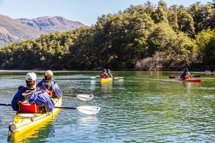 Rodeados por los árboles que inspiraron a Walt Disney, un circuito en kayak por las aguas turquesas del río Arrayanes 