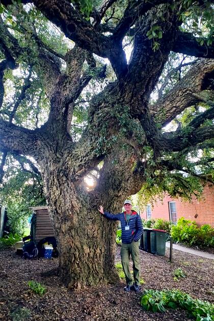 Roderick Cameron con un añoso alcornoque (Quercus suber) en la ciudad de Braidwood,
Nueva Gales del Sur, Australia.