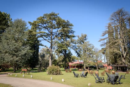 Rodizio Campo Luján: los visitantes pueden disfrutar de 10 hectáreas,  visitar a pie la granja, la pulpería, recorrer el sector de los fogones y el palenque con los caballos