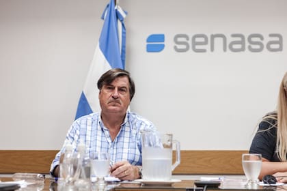 Rodolfo Acerbi, vicepresidente del Senasa