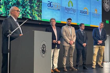 Rodolfo Rossi, presidente de Acsoja, durante el discurso