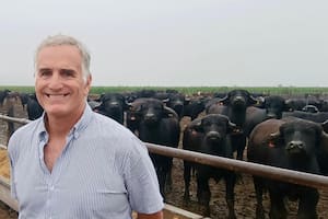 El modelo cordobés donde todos ganan con la carne