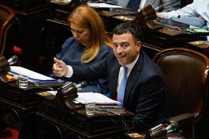 Rodrigo de Loredo, el jefe del bloque de la UCR