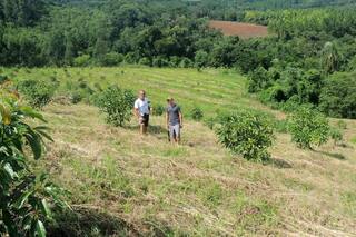 Se metieron en el negocio de la fruta de moda e invierten para que haya cada vez más producción argentina