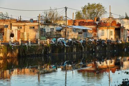 Roedores y otras plagas son los principales factores de contaminación cercanos a las viviendas