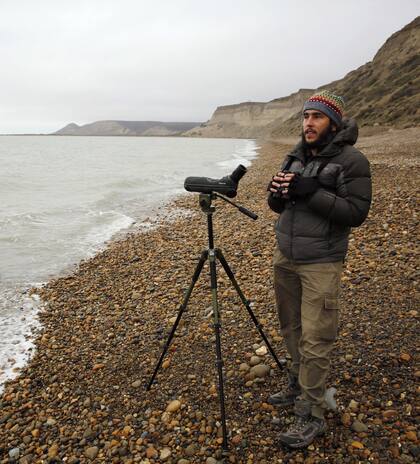 Roesler busca salvar al ave