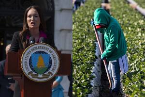 Rollins determinó que las deportaciones masivas continuarán para lograr una "fuerza laboral 100 % estadounidense"