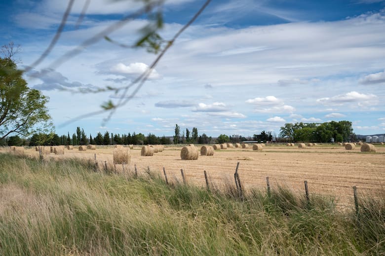 Gaiman: el pueblo galés de Chubut con capillas y té
