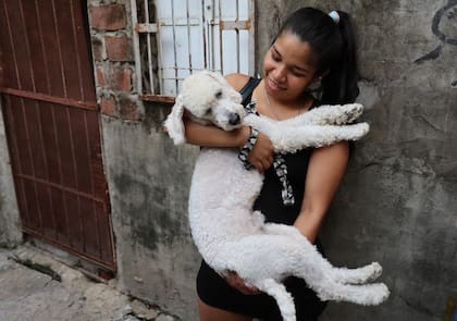 Romelia Ortiz, de 26 años, está embarazada de siete meses y llevó a castrar a Toby, su perro caniche