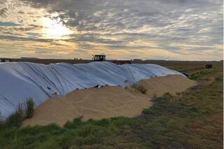 Silobolsas. Creció un 30% la cobertura con seguros