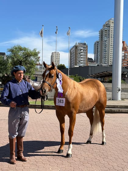 Rooster Music, cuando se consagró en Nuestros caballos 2025