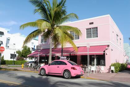 Rosa, palmeras y flamencos, uno de los lugares clsicos para comer