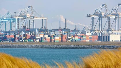 Rótterdam es el mayor puerto de transbordo de Europa Occidental para el sector agrícola.