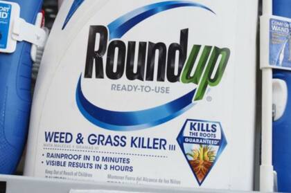 Roundup es un producto desarrollado por Monsanto, compañía que pertenece a Bayer