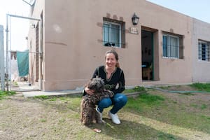 Construyen las casas juntos sin saber a cuál familia le tocará la suya