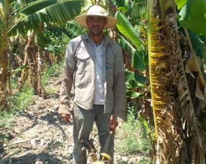 Rubén Almada es un productor bananero de Colonia Ceibo 13: “Nuestra situación es desesperante. Las bananas están madurando en la chacra por no poder vender. Causa mucho dolor ver cómo se pudren los cachos en el suelo, porque ahí está nuestro sacrificio"