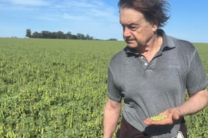 Los productores no modificarán sus planes tras la baja de las retenciones, aunque valoran el gesto del Gobierno