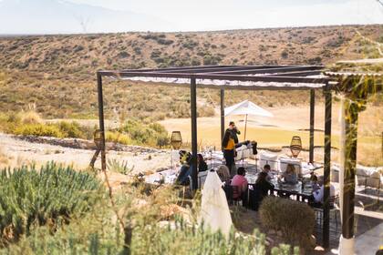 Ruda cocina, una de las propuestas gourmet más novedosas.