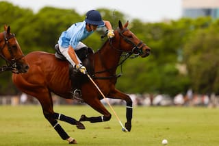 Palermo: dos remontadas impactantes, un partidazo con sorpresa y ese chico que brilló como hace tres años