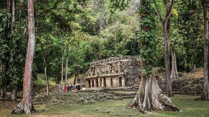Ruinas mayas de Yaxilan en Chiapas.