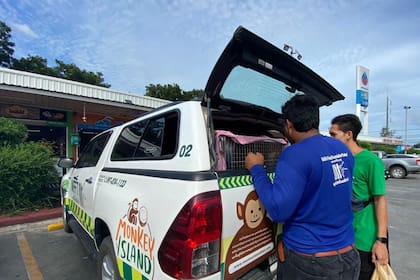 Rumbo a su nueva vida.