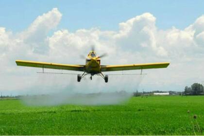 Ruralistas entrerrianos en pie de lucha por una desición judicial que les impide trabajar