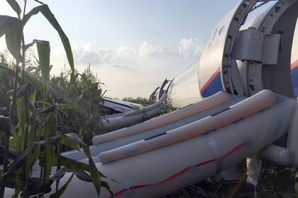 Rusia: un avión chocó con pájaros y debió aterrizar de emergencia sin ruedas ni motores